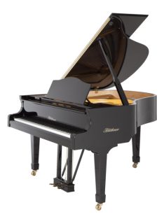 Blüthner Model 10 zongora (166 cm)