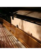 Blüthner Model 6 Concert zongora (190 cm)