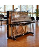 Haessler iDyllic átlátszó pianínó