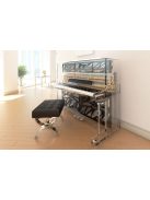 Haessler iDyllic átlátszó pianínó