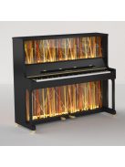 Haessler Translucid átlátszó pianínó